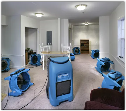 Water Damage Restoration services in Hillsboro, IL