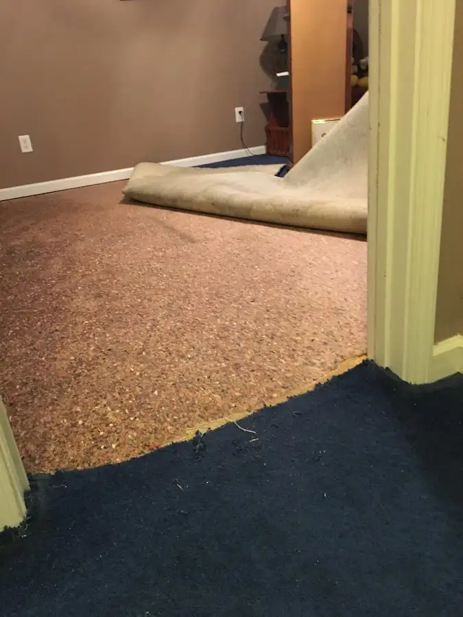 Carpet pad removal revealing water damage during Water Mitigation Services in Hillsboro