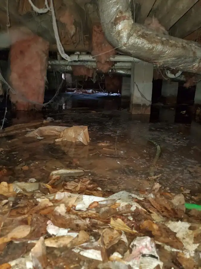 Crawl space flood assessment for Leak Detection & Repair in Hillsboro