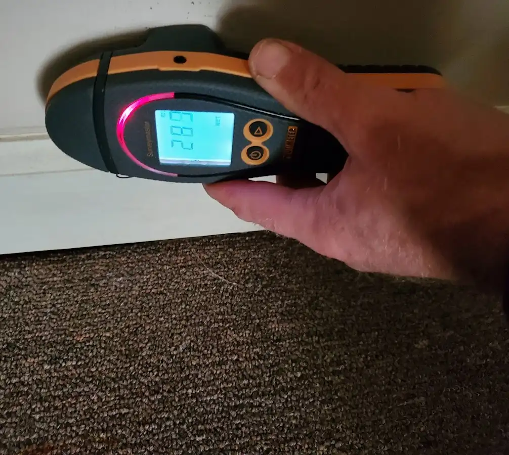 Moisture detection at baseboard during Sewage Cleanup & Sanitation in Hillsboro